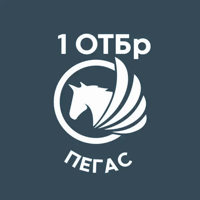 «ПЕГАС» рота ударних БпАК 1ОТБр