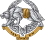 Special Operations Forces